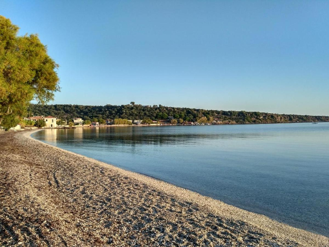 skala-mystegna skala-mystegna